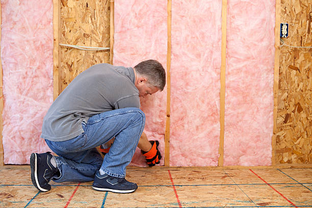 Best Geographic-Specific Insulation Services in Bonneauville, PA